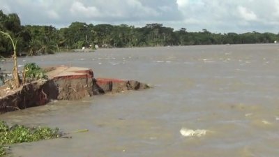 ভাঙন দেখা দিয়েছে মেহেন্দীগঞ্জ উপজেলার মেঘনা, তেঁতুলিয়া, ইলিশা, মাছকাটা ও কালাবদর নদীতে