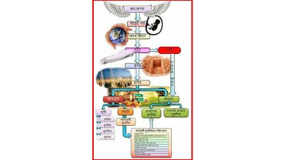 ছক