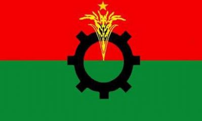 বিএনপির পতাকা