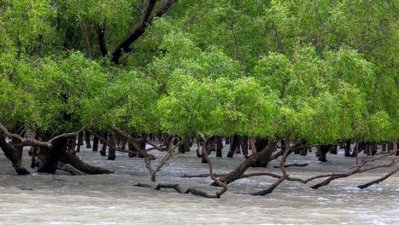 বিশ্বঐতিহ্য সুন্দরবন