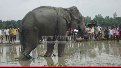 জামালপুরের কয়রা গ্রামে আটক &lsquo;বঙ্গবাহাদুর&rsquo;
