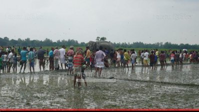 জামালপুরের কয়রা গ্রামে আটক &lsquo;বঙ্গবাহাদুর&rsquo;, ঘিরে আছে মানুষ
