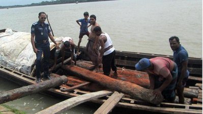 সুন্দরী কাঠ জব্দ (ফাইল ছবি)