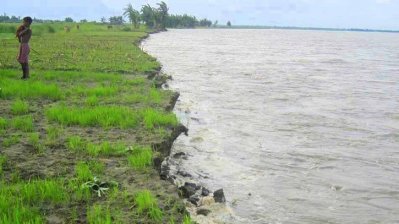 ডিমলায় বন্যার পানি নেমে যাওয়ায় আমন খেত ও বীজতলা নষ্ট