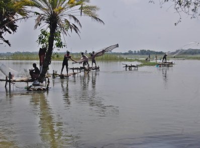 বিল হরিণায় মাছ ধরছেন এলাকাবাসী