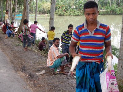 বিল হরিণায় মাছ ধরছেন এলাকাবাসী