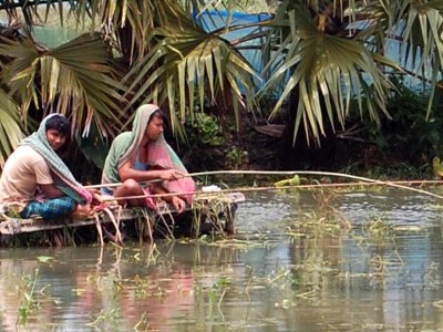বিল হরিণায় মাছ ধরছেন এলাকাবাসী