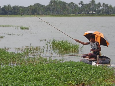 বিল হরিণায় মাছ ধরছেন এলাকাবাসী