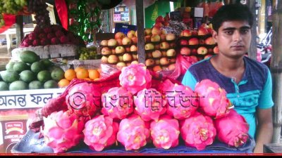 কৃষ্ণের দোকানে বিক্রির জন্যে সাজানো ড্রাগন ফল