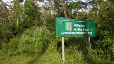লাউয়াছড়া জাতীয় উদ্যান