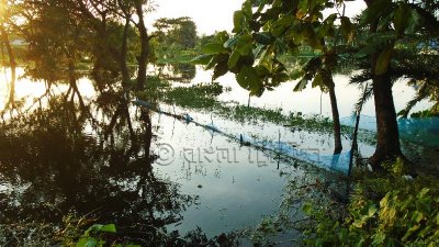 ভারী বর্ষণে একাকার মাছের ঘের