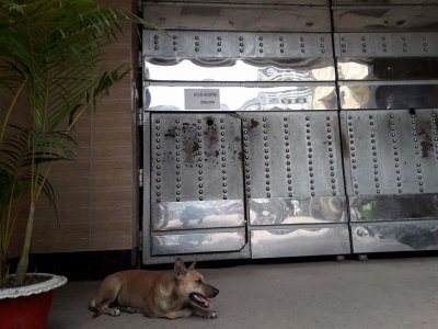 পুরনো কেন্দ্রীয় কারাগারের প্রধান ফটক