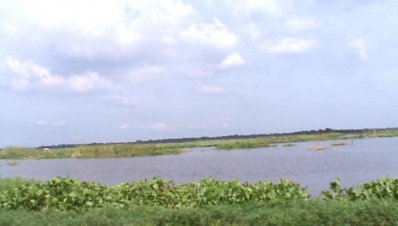 চিতলমারীতে ভেসে যাওয়া মাছের ঘের