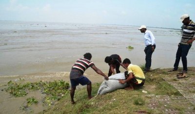 রাজশাহীতে বাড়ছে পদ্মার পানি
