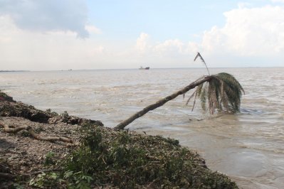 পদ্মার ভাঙনে ঘরহারা শরীয়তপুরের তিন শতাধিক পরিবার