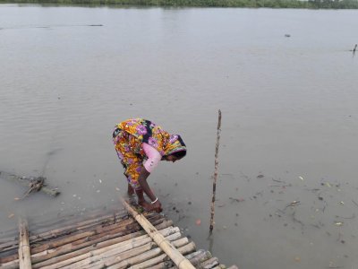 নদীর পানিতে ভেসে আসা ফল জ্বালানি হিসেবে ব্যবহার করছেন এলাকাবাসী