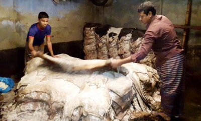 আড়তে চামড়ায় লবণ দেওয়া হচ্ছে