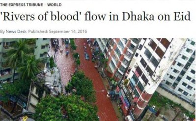‘রক্তাক্ত ঢাকা’র দায় কর্তৃপক্ষের
