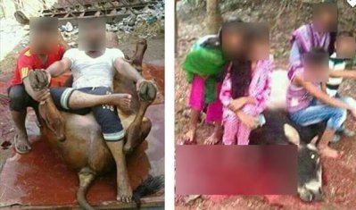 কোরবানির পশু নিয়ে বিকৃত ছবি ফেসবুকে প্রকাশ
