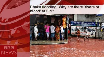 ‘রক্তাক্ত ঢাকা’র দায় কর্তৃপক্ষের