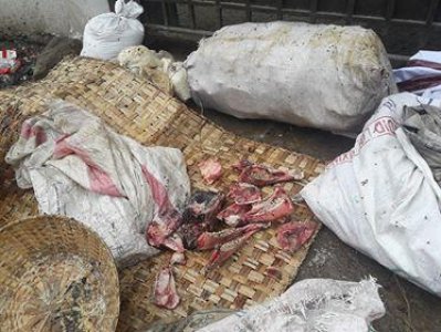 ফেলনা নয়, কোটি টাকার বাণিজ্য