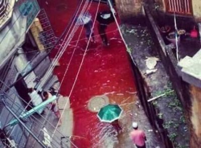 এবারের ঊদুল আজহায় `রক্তাক্ত ঢাকা`