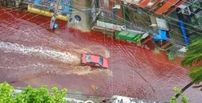 ঈদুল আজহায় রক্তাক্ত ঢাকা