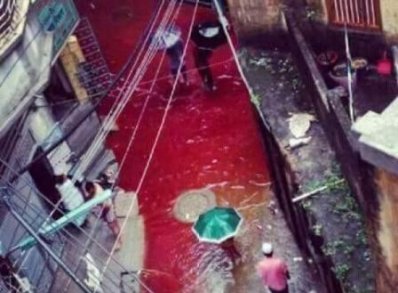 ঈদুল আজহায় রক্তাক্ত ঢাকা