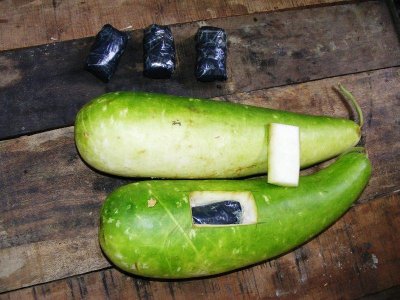 মাদক পাচারের বাহন লাউ