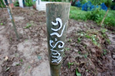 জুরাইন কবরস্থানে গুলশানে নিহত জঙ্গিদের কবর