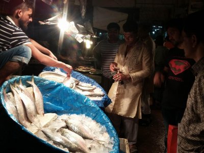 আলোচনায় ইলিশ
