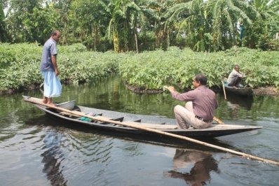 কচুরিপানার ধাপে সবজি চাষ