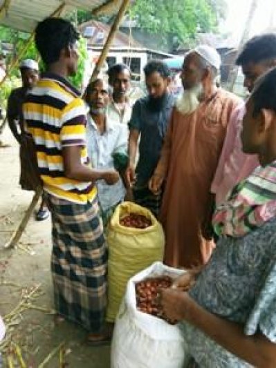 পেঁয়াজের দাম নিয়ে হতাশ ফরিদপুরের কৃষকরা