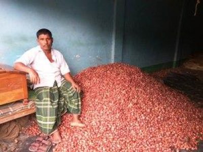 পেঁয়াজের দাম নিয়ে হতাশ ফরিদপুরের কৃষকরা