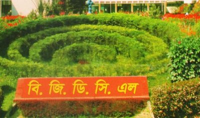 বাখরাবাদ গ্যাস ডিস্ট্রিবিউশন কোম্পানিতে বড় নিয়োগ
