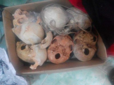 কাফরুলে উদ্ধার করা মাথার খুলি
