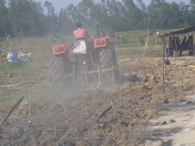 গোবিন্দগঞ্জে ইক্ষু খামার