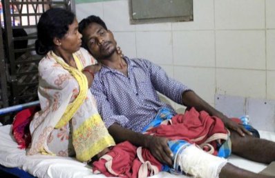বিমল কিসকো