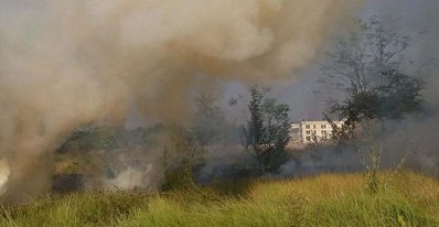 রোকেয়া বিশ্ববিদ্যালয়ের ঔষধি বাগানে আগুন