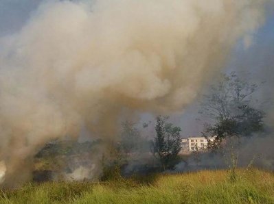 বেরোবির ওষধি গাছের বাগানে আগুন