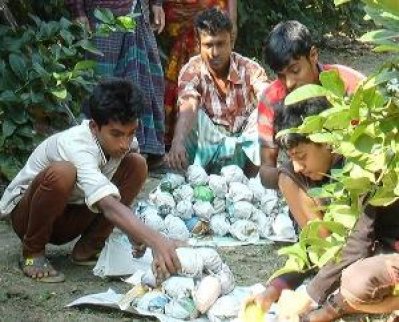 ইউরোপে রফতানি হচ্ছে নরসিংদীর লেবু
