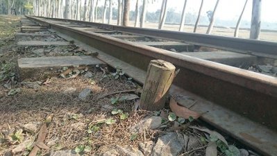 রেললাইনে ব্যবহৃত গাছের সরু ডাল