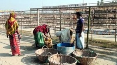 কক্সবাজারে শুঁটকি তৈরিতে ব্যস্ত শ্রমিকরা