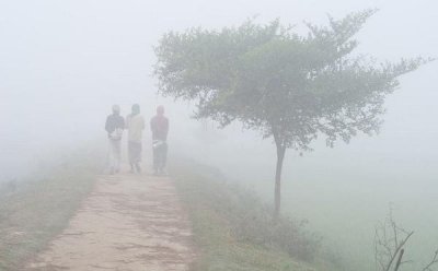 দেশের সর্বনিম্ন তাপমাত্রা শ্রীমঙ্গলে