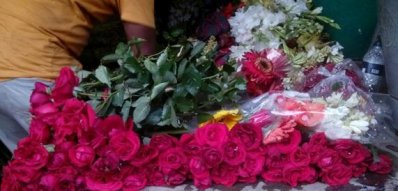প্রস্তুত নাটোরের ফুল চাষিরা