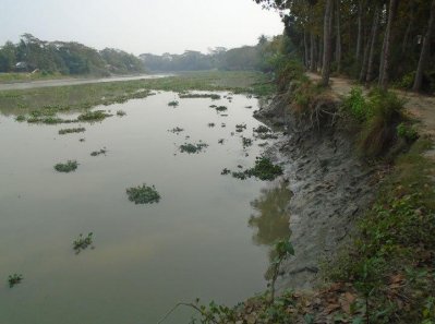 বাঘিয়ার নদীতে ভাঙন