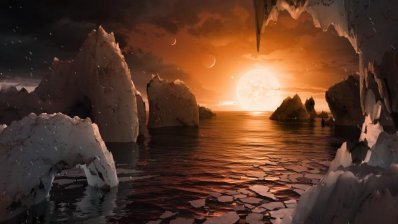 The existence of life on the seven newly discovered planets