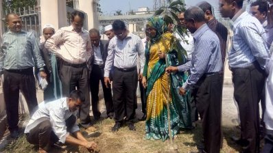 নওগাঁয় জেলা সার্ভার স্টেশনের মূল গেটের পাশে গাছের চারা রোপণ করছেন কবিতা খানম