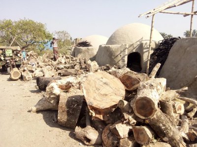 রূপসায় কয়লার অবৈধ চুল্লি