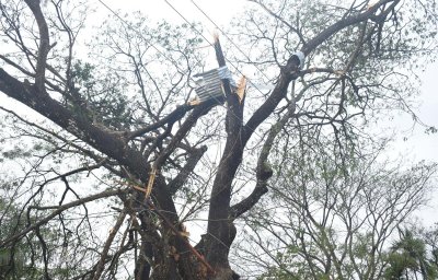 ভোলায় ঘূর্ণিঝড়ে অর্ধশতাধিক ঘর বিধ্বস্ত, আহত ৫